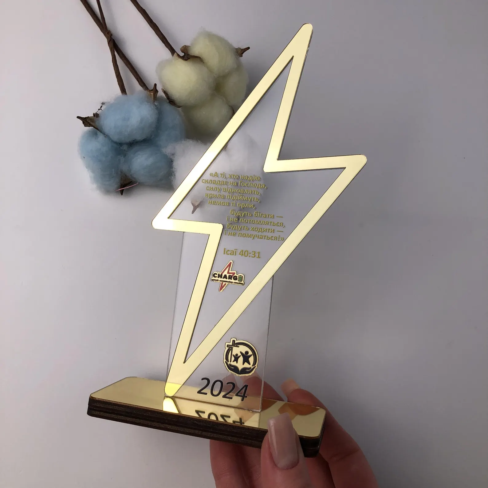 Kỷ niệm chương tia chớp loại mã 245